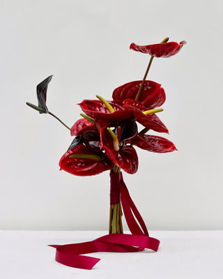 Bouquet of red anthurium flowers with green stems on a white background