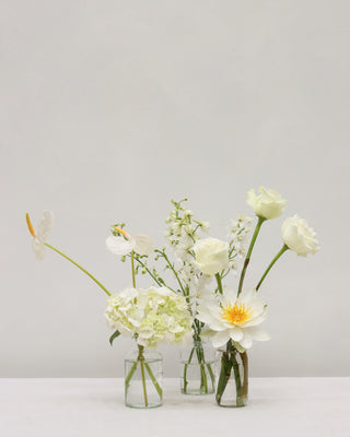 Classic White & Green Wedding Package