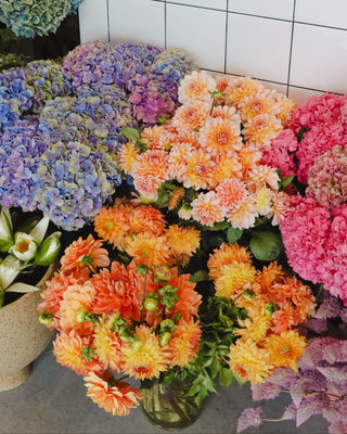 Assorted colorful summer flowers in vases