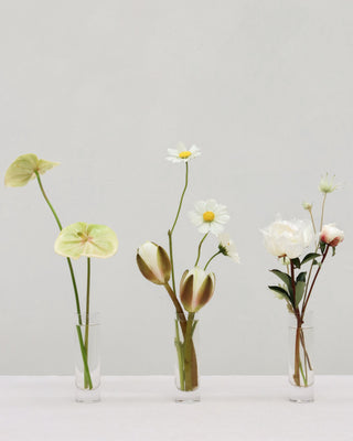 Three small glass vases with flowers on a white surface and light gray background